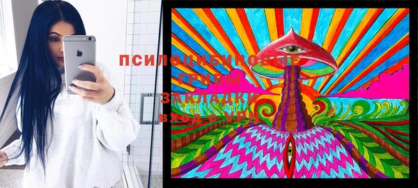 apvp Алексин