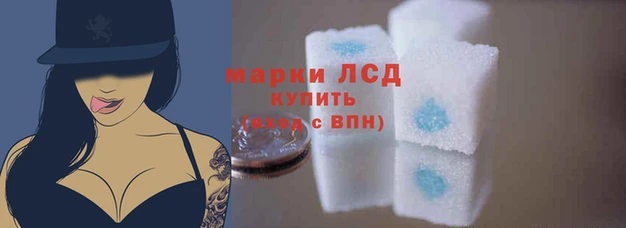 PSILOCYBIN Алексеевка