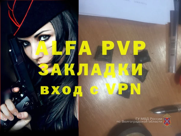apvp Алексин